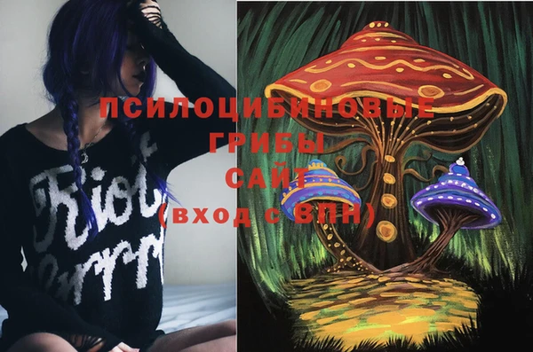 Альфа ПВП Переславль-Залесский