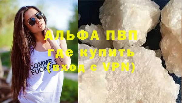 спиды Пересвет